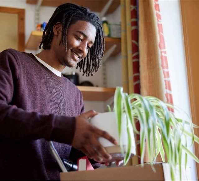 Avoid an Avalanche of Chores by Cleaning Regularly