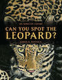Can You Spot the Leopard: An African Safari