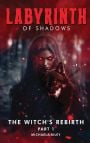 Labyrinth of Shadows